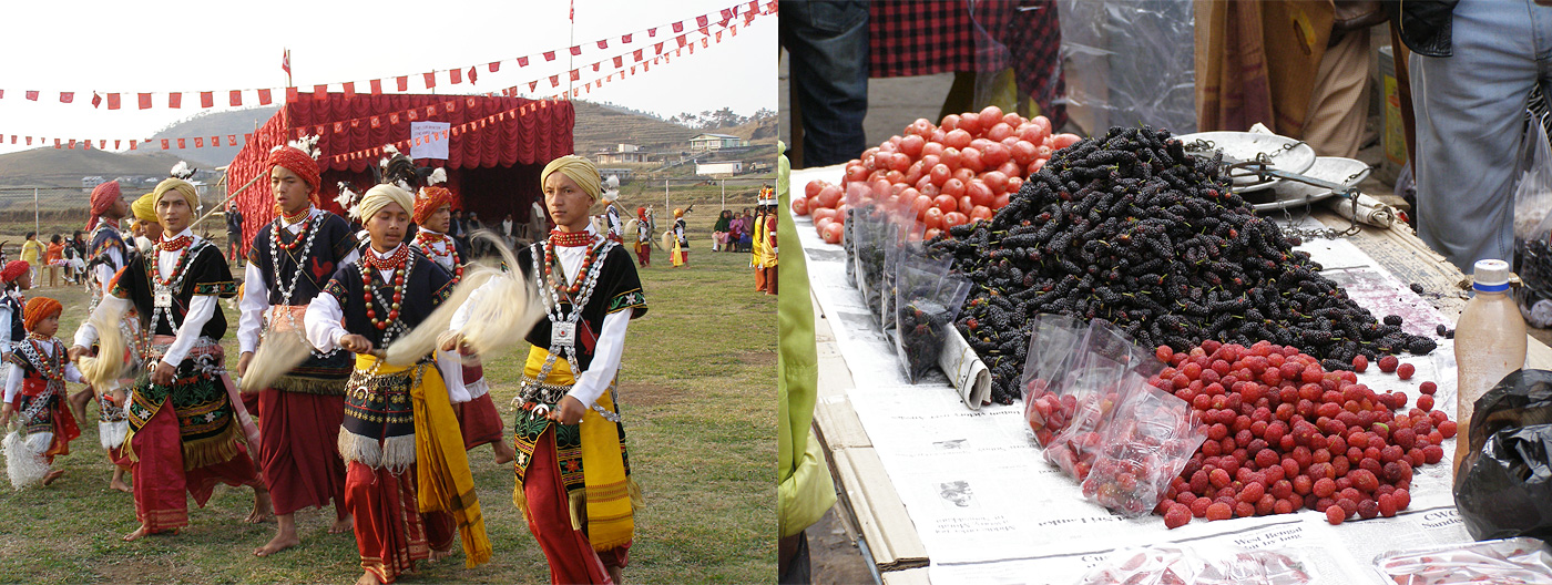 Photo: Utpal Borpujari