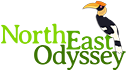 The Northeast Odyssey